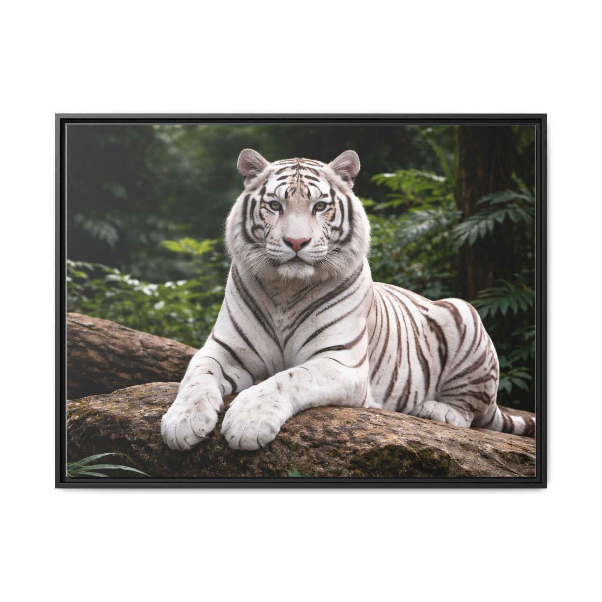 White tiger wall art 40x30 framed matte canvas portrait in black frame2